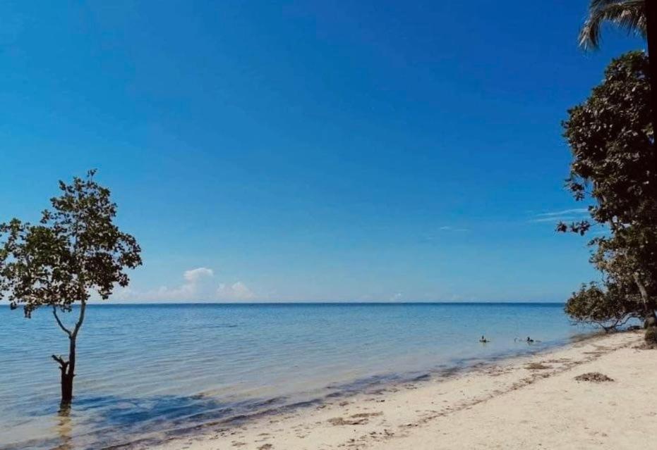 Summer Days Puerto Princesa Extérieur photo
